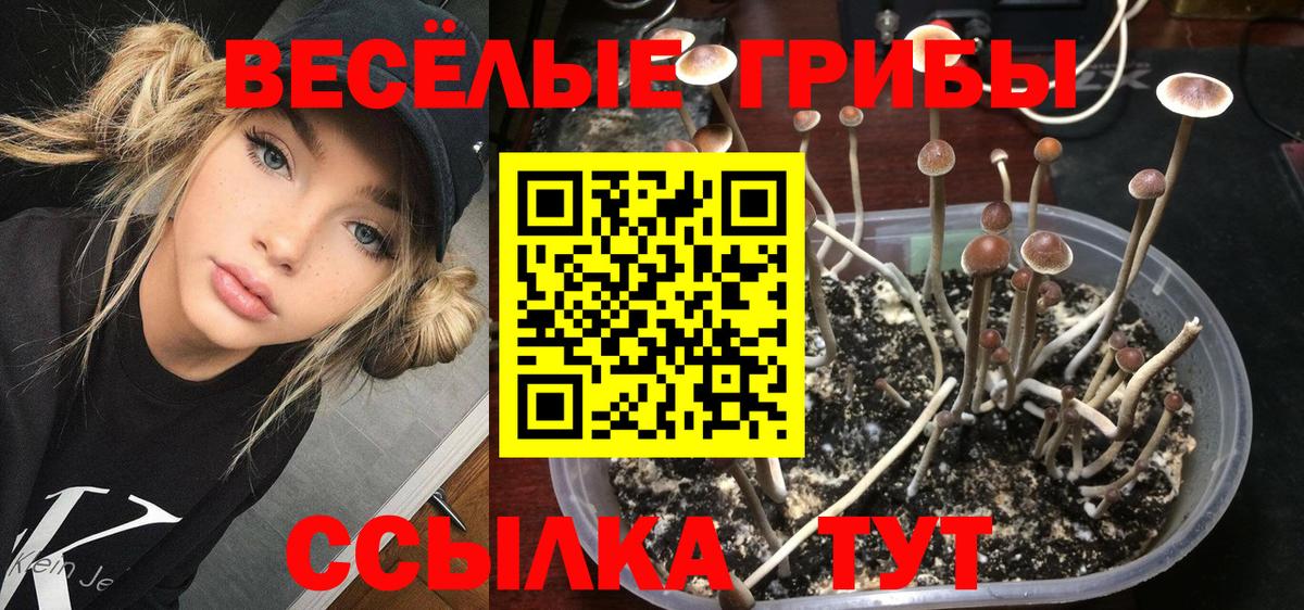 Галлюциногенные грибы мухоморы  Вход с VPN  Будённовск  Галлюциногенные грибы мухоморы 